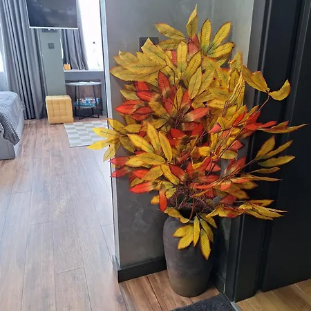 Apartmán студио даневски-balkan Tower Gabrovo