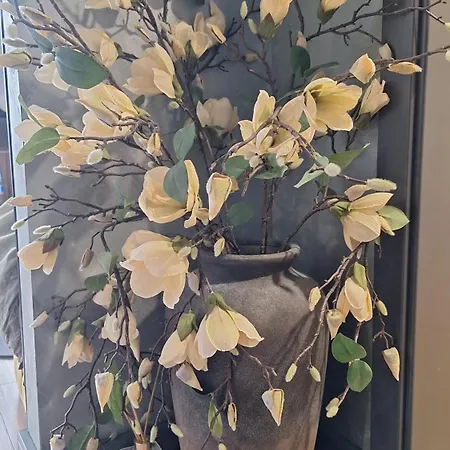 студио даневски-balkan Tower